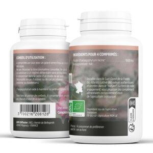 Alternative view of HARPAGOPHYTUM BIO — Comprimés Articulations 400 mg x200