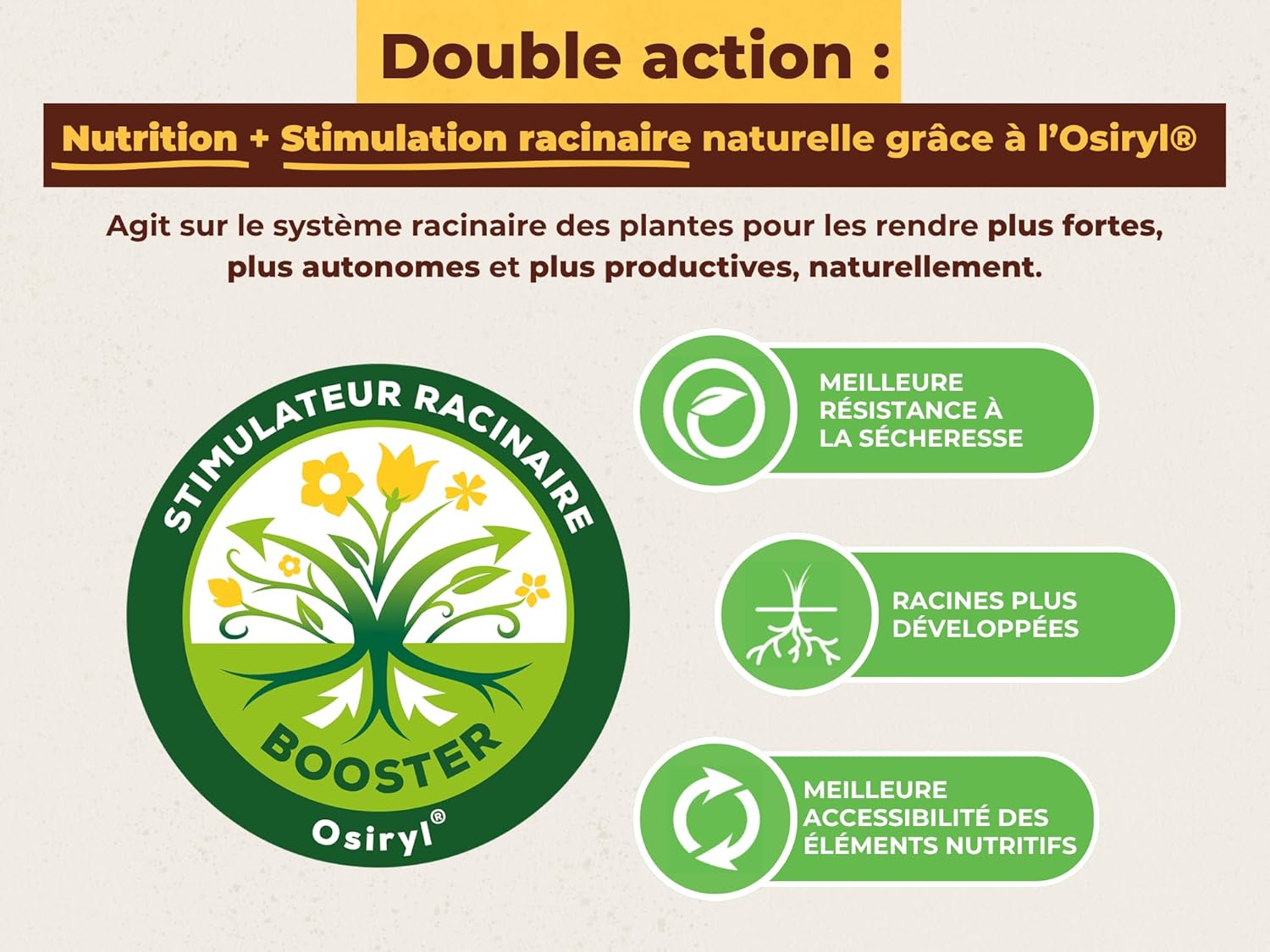 SOLABIOL — Engrais Géraniums et Plantes Fleuries 750g – Image 15