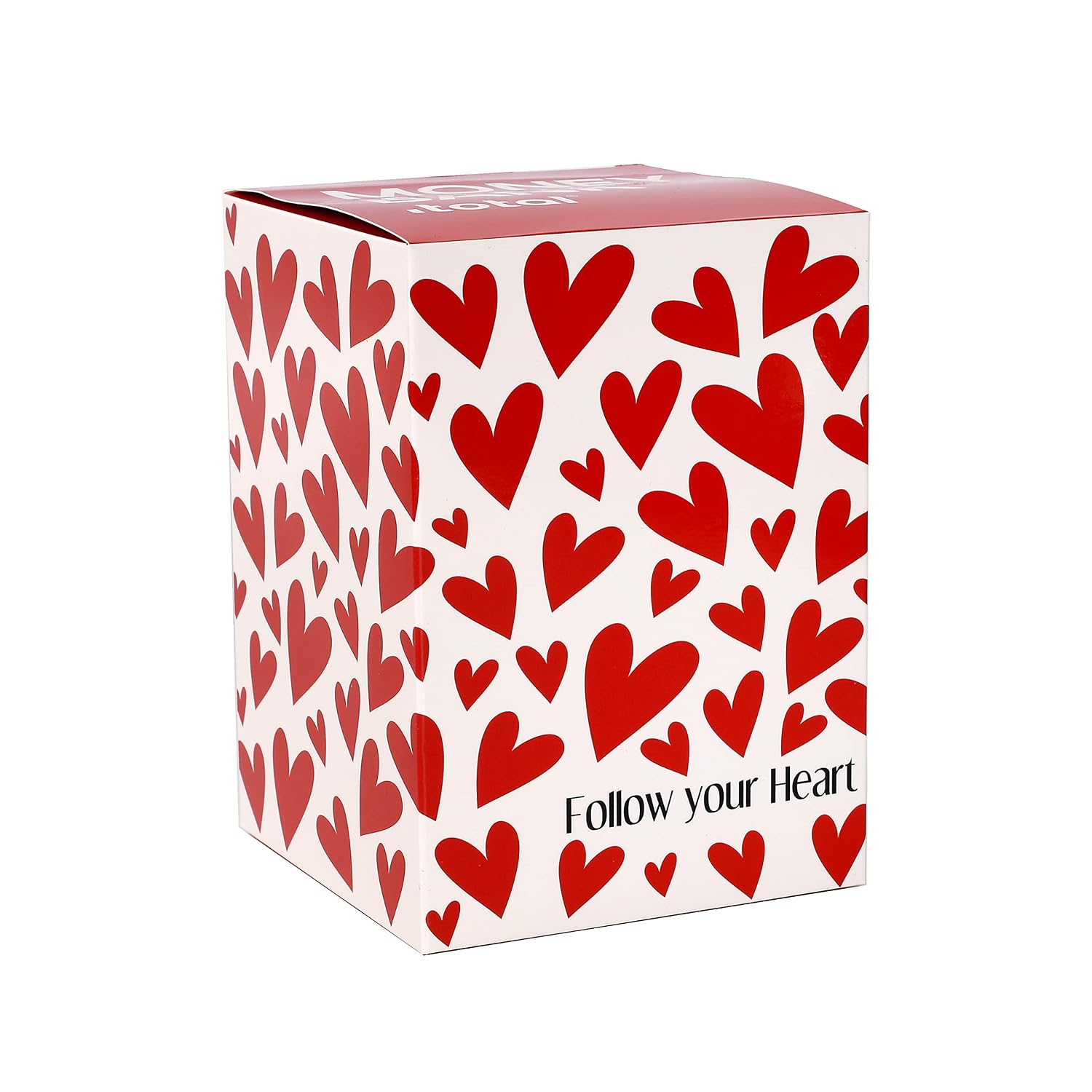 I-TOTAL — Tirelire en métal avec cadenas Follow Your Heart – Image 3