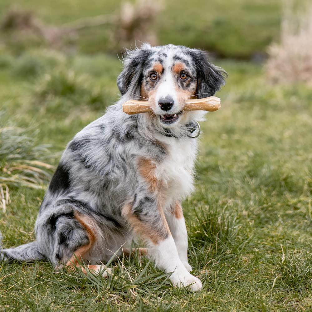 NOBBY — Os à Mâcher Pressé pour Chien 420 g – Image 6