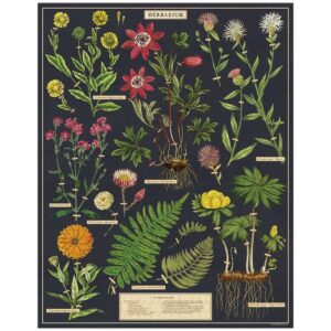 Alternative view of CAVALLINI — Puzzle Herbarium 1000 pièces