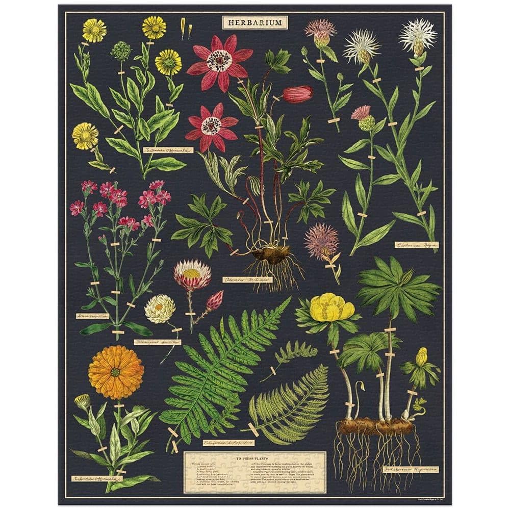 CAVALLINI — Puzzle Herbarium 1000 pièces – Image 2