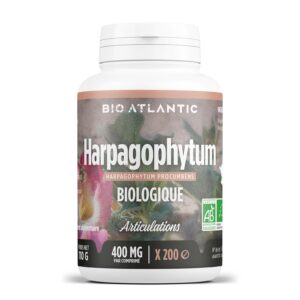 HARPAGOPHYTUM BIO — Comprimés Articulations 400 mg x200