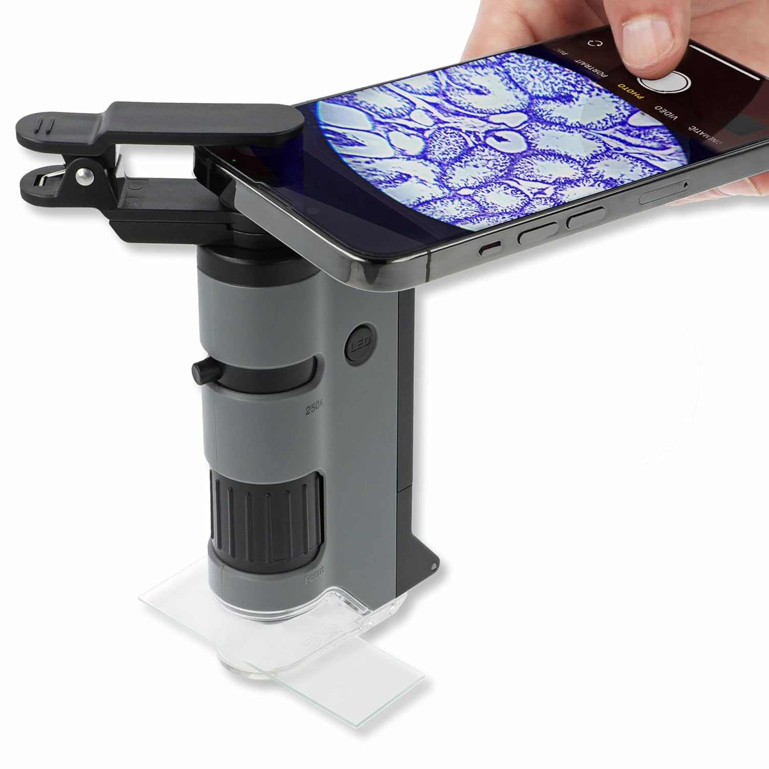 CARSON MicroFlip MP-250 — Microscope 100-250x UV et LED – Image 9