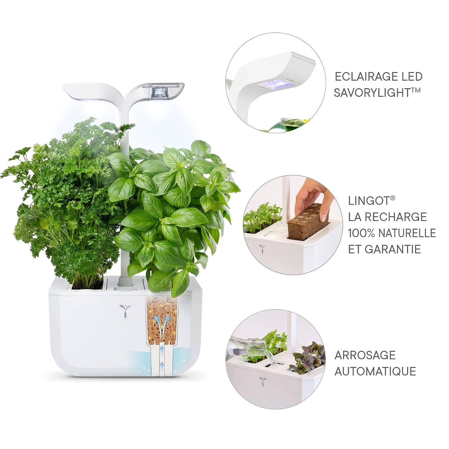 EXKY Classic — Potager d’Intérieur avec 2 Lingots – Image 4