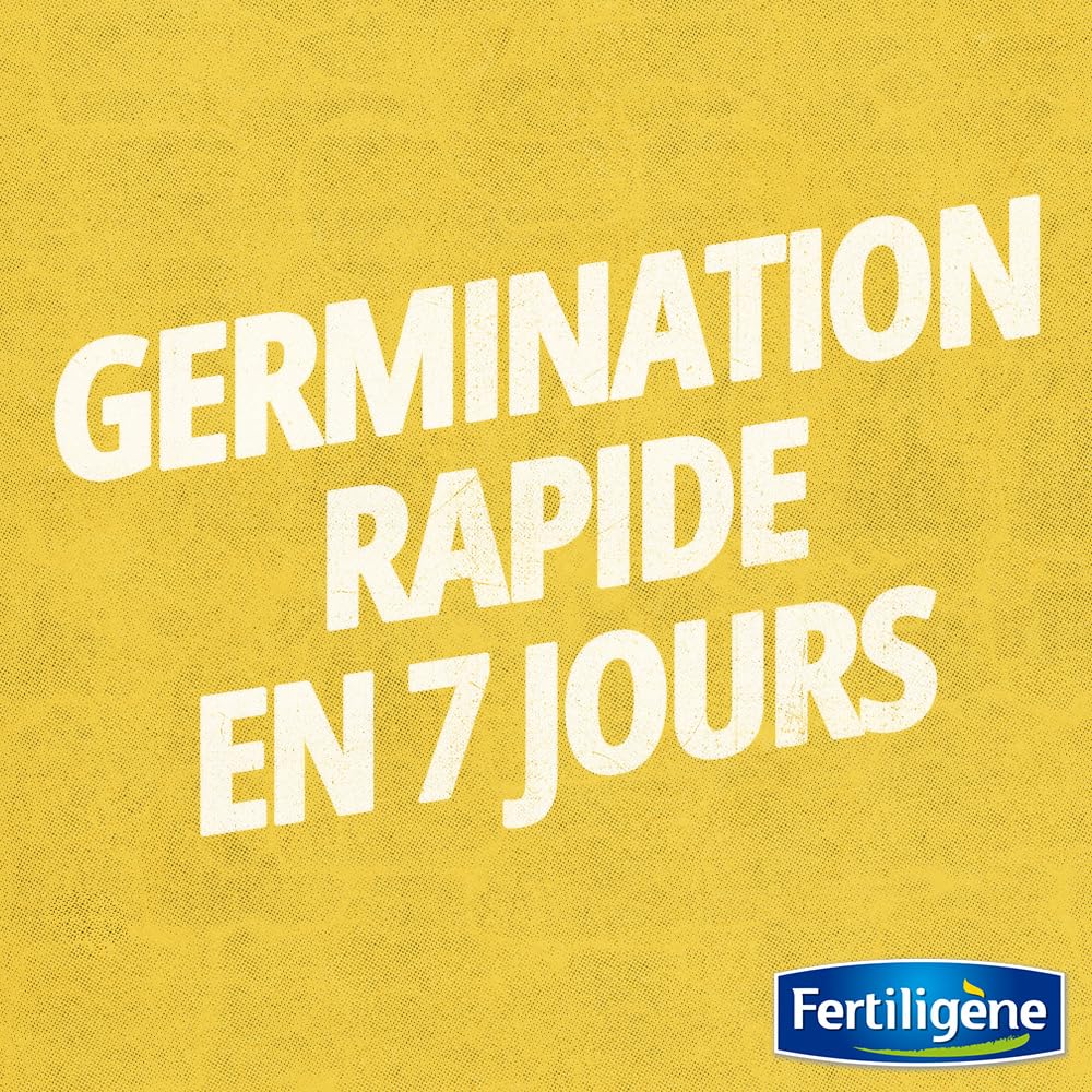 FERTILIGENE RESI200 — Semences Gazon Super Résistant 5 kg – Image 3