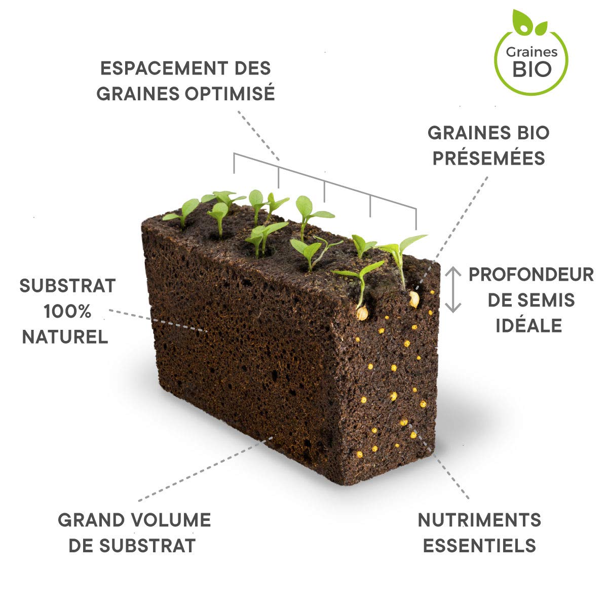 LINGOT — Recharge Fleur de Courgette Bio – Image 19