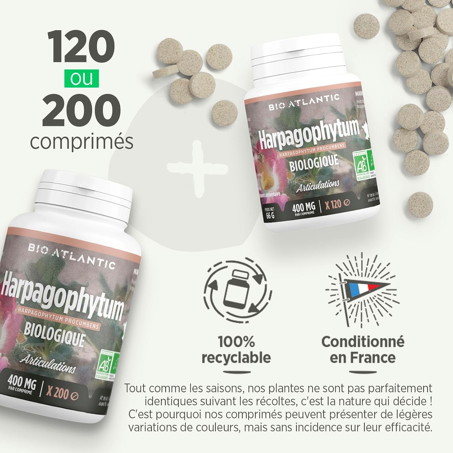 HARPAGOPHYTUM BIO — Comprimés Articulations 400 mg x200 – Image 5