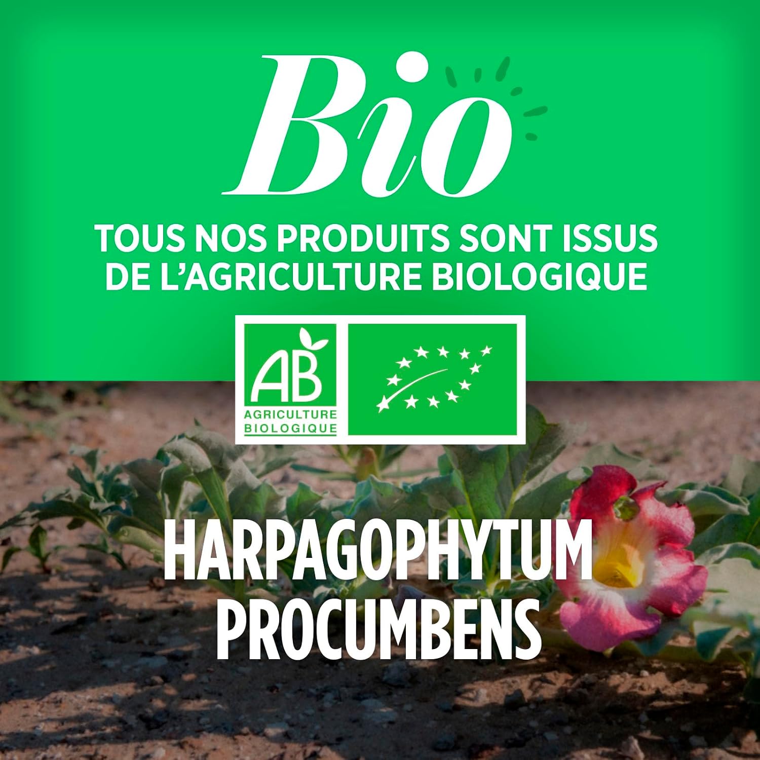 HARPAGOPHYTUM BIO — Comprimés Articulations 400 mg x200 – Image 12