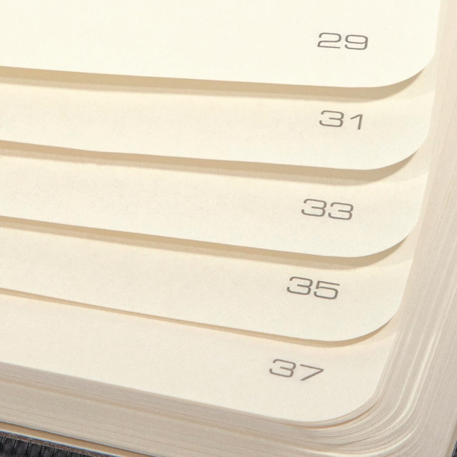 SIGEL Conceptum — Carnet de notes ligné A4 rouge – Image 14