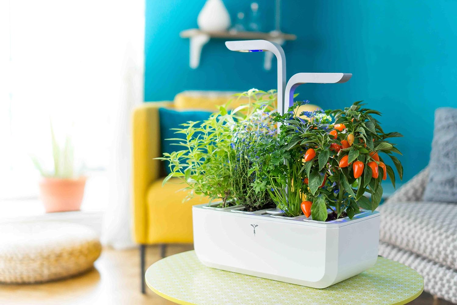VÉRITABLE SMART — Potager d’Intérieur avec 4 Lingots – Image 6