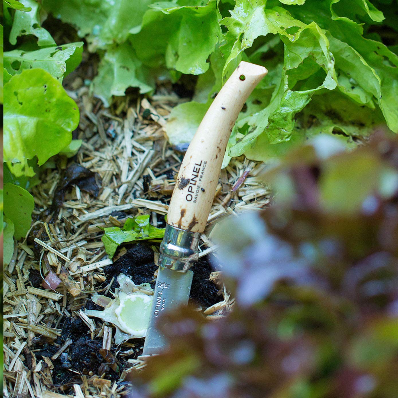 OPINEL N°08 Jardin — Couteau de Jardin lame 8 cm – Image 6