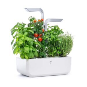 Alternative view of VÉRITABLE SMART — Potager d’Intérieur avec 4 Lingots
