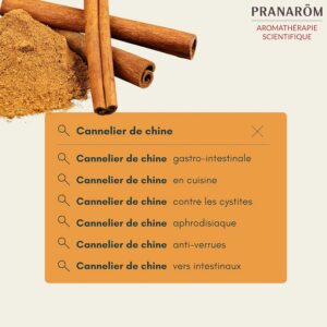 Alternative view of PRANARÔM — Huile Essentielle Cannelier de Chine Bio 10 ml