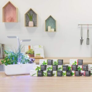 Alternative view of LINGOT — Recharge Menthe Pouliot compatible Véritable et Exky