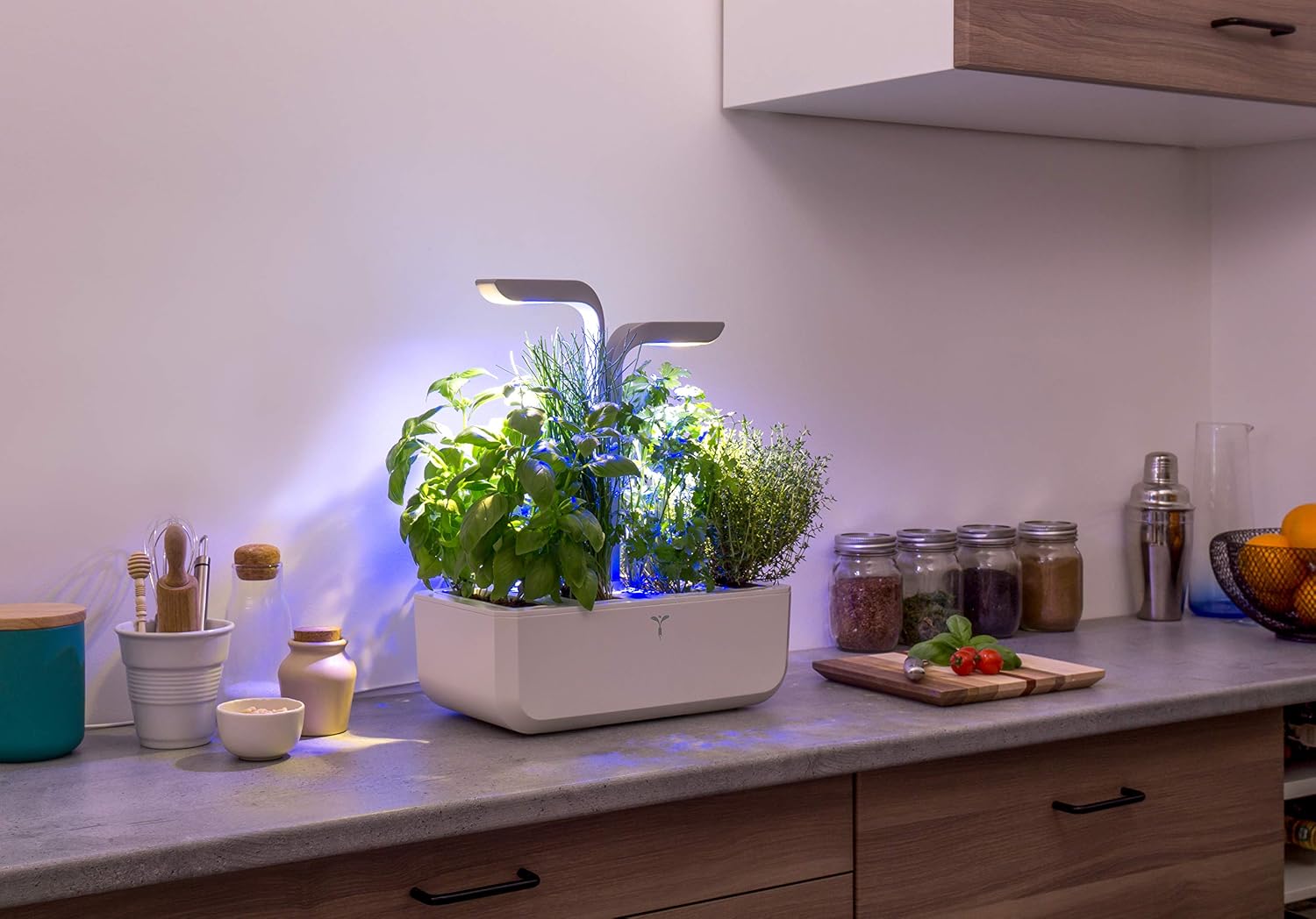 VÉRITABLE SMART — Potager d’Intérieur avec 4 Lingots – Image 4