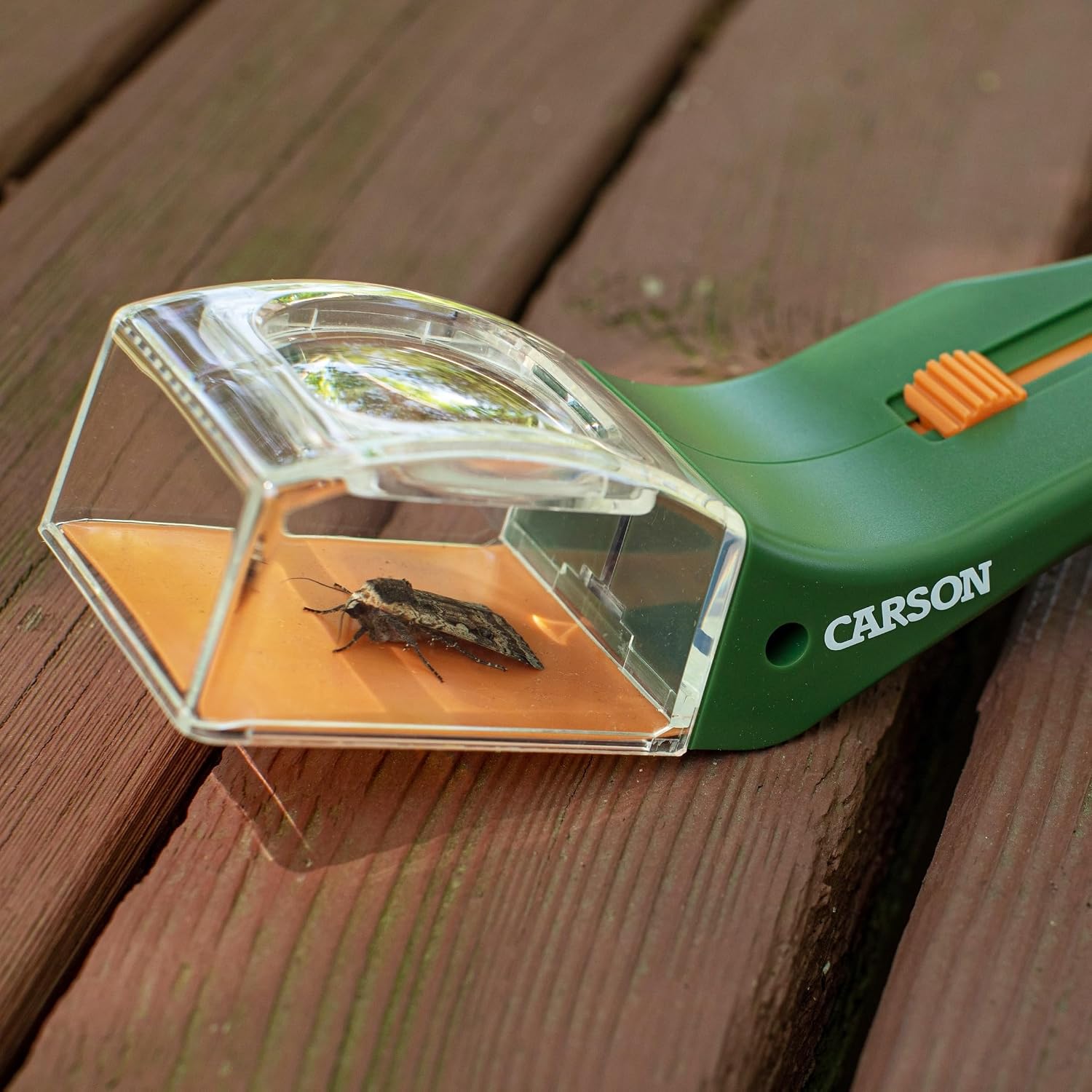 CARSON BugView — Attrape-insectes avec loupe 5x – Image 32