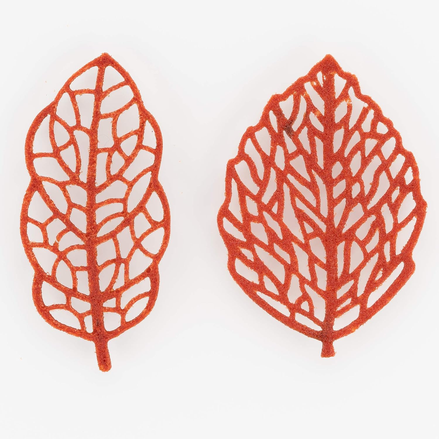 SILIKOMART Foresta — Moule en Silicone Feuilles 66x30 mm – Image 12
