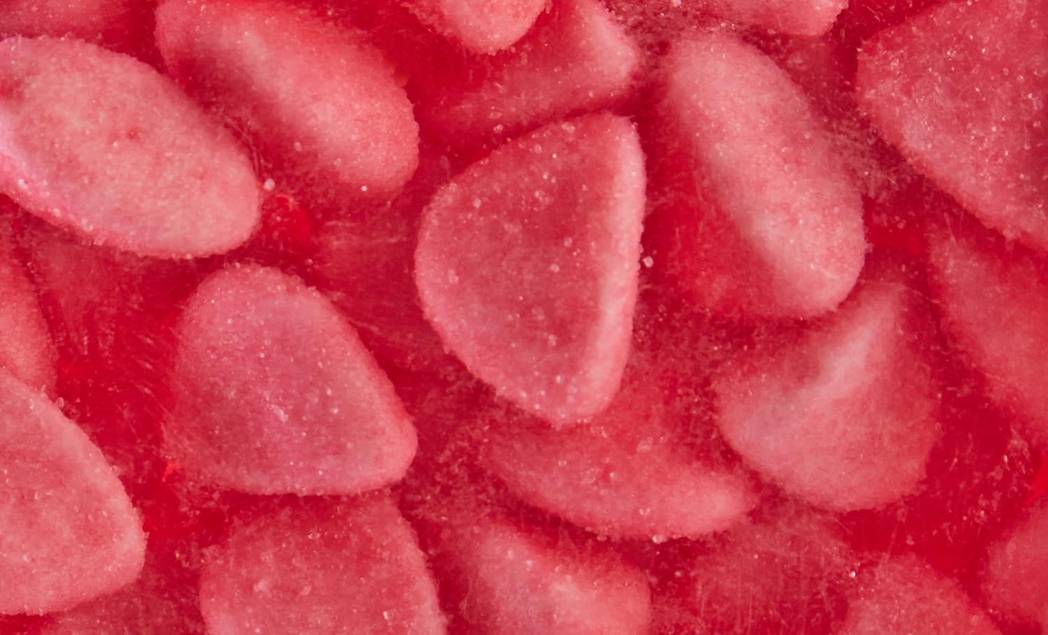 HARIBO Bonbon Gélifié Tagada Pink 1,5 kg - Lot de 2 – Image 3