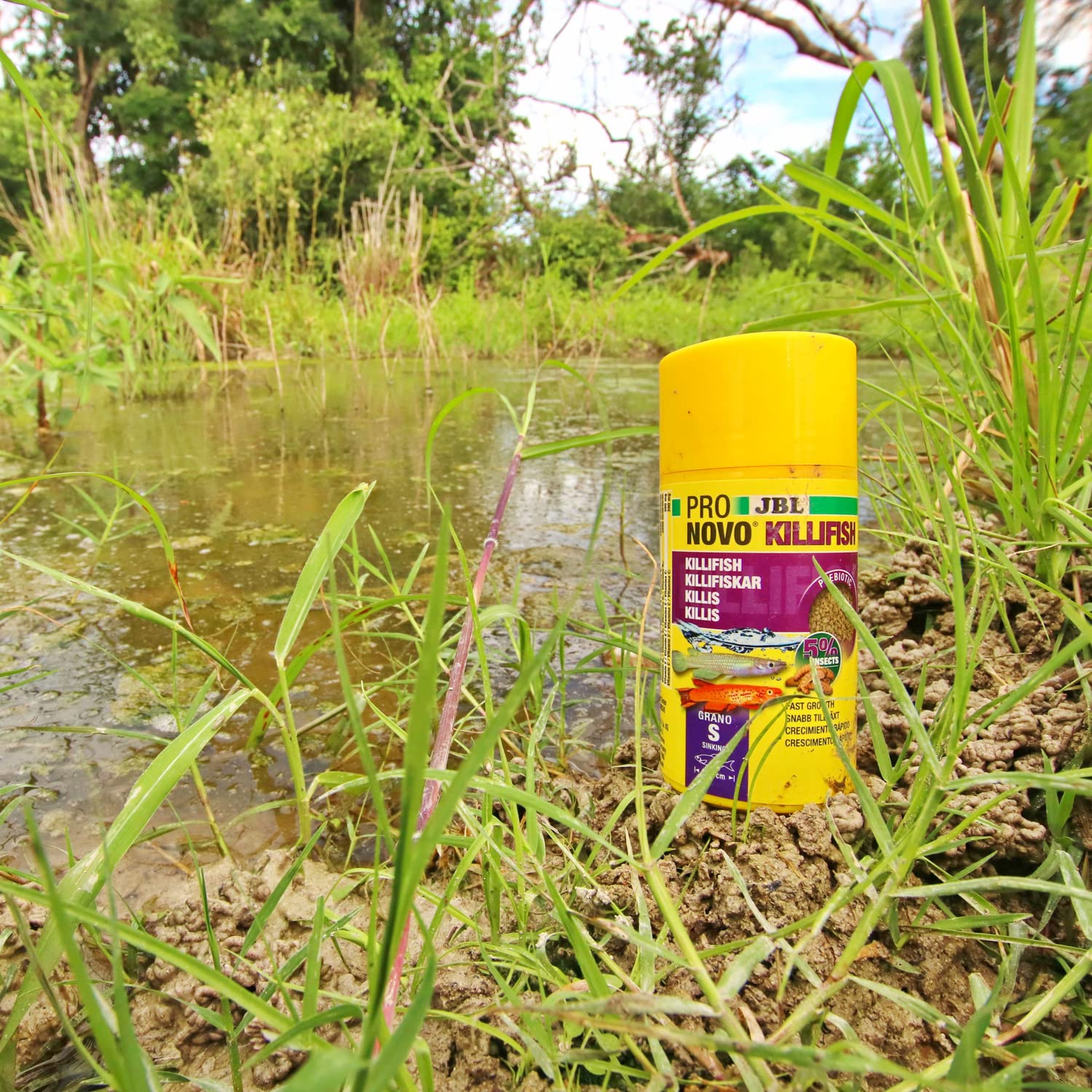 JBL PRONOVO KILLIFISH GRANO — Aliment granulés 100 ml – Image 2