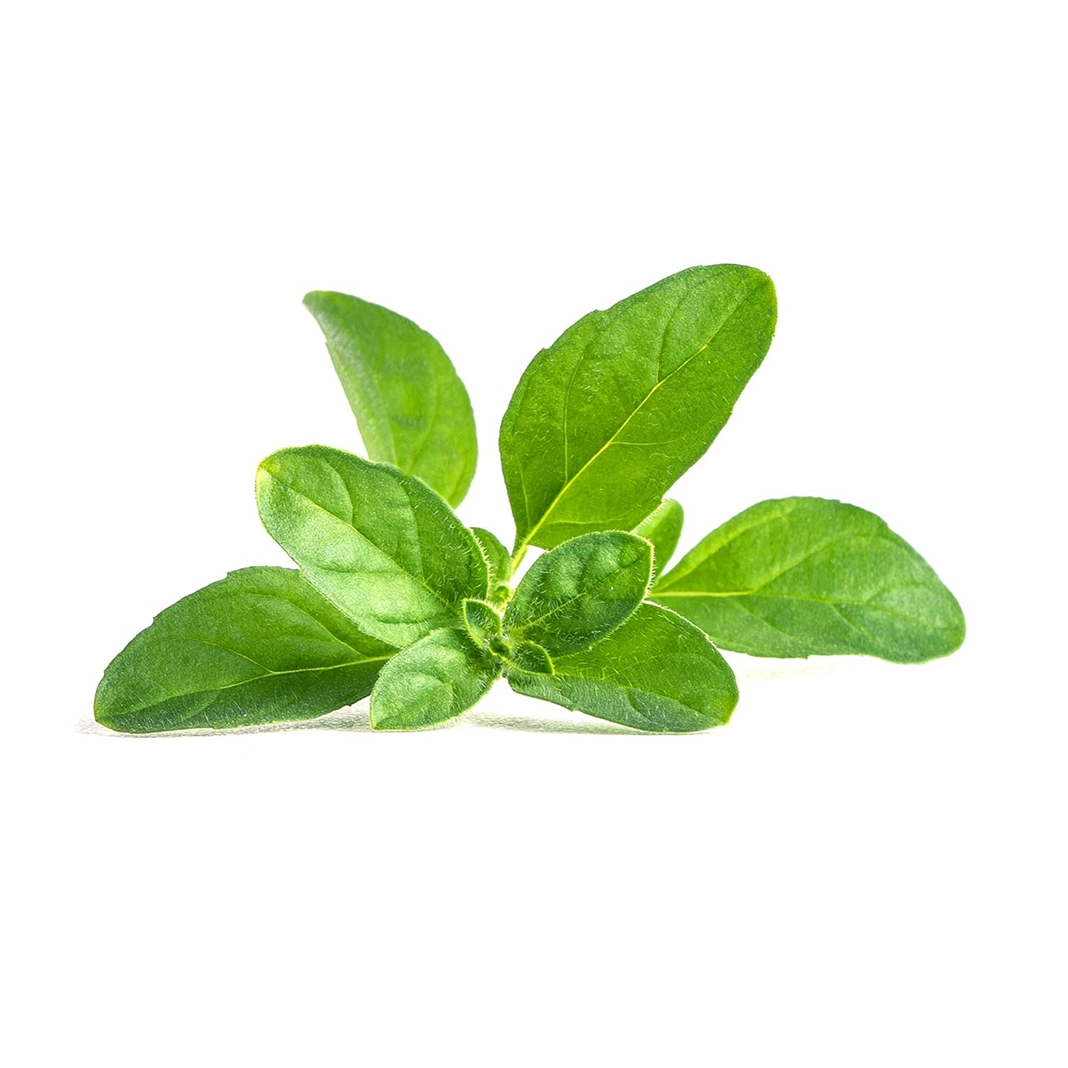 LINGOT — Recharge Menthe Pouliot compatible Véritable et Exky – Image 9