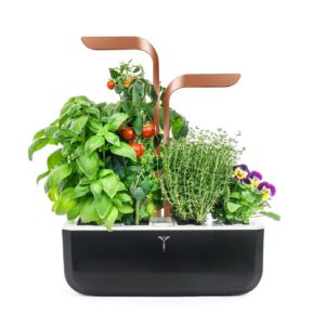 VÉRITABLE Smart — Potager d’Intérieur avec 4 Lingots