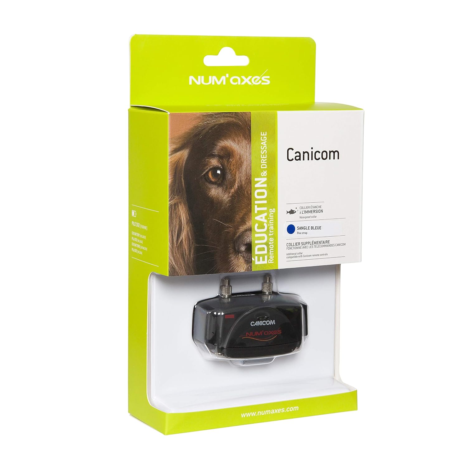 CANICOM — Collier de Dressage Supplémentaire Sangle Bleue – Image 6
