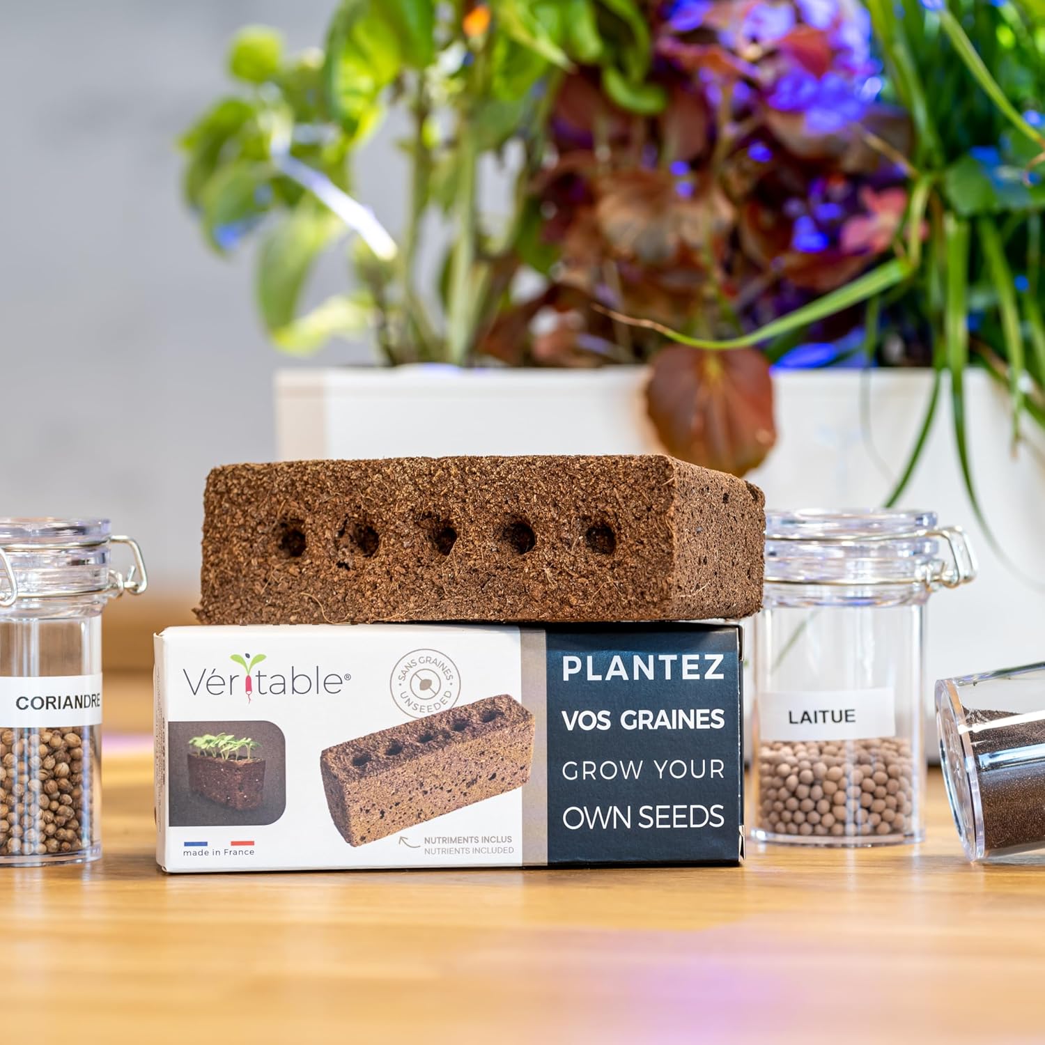 LINGOT — Recharge sans graines pour potager d'intérieur – Image 15