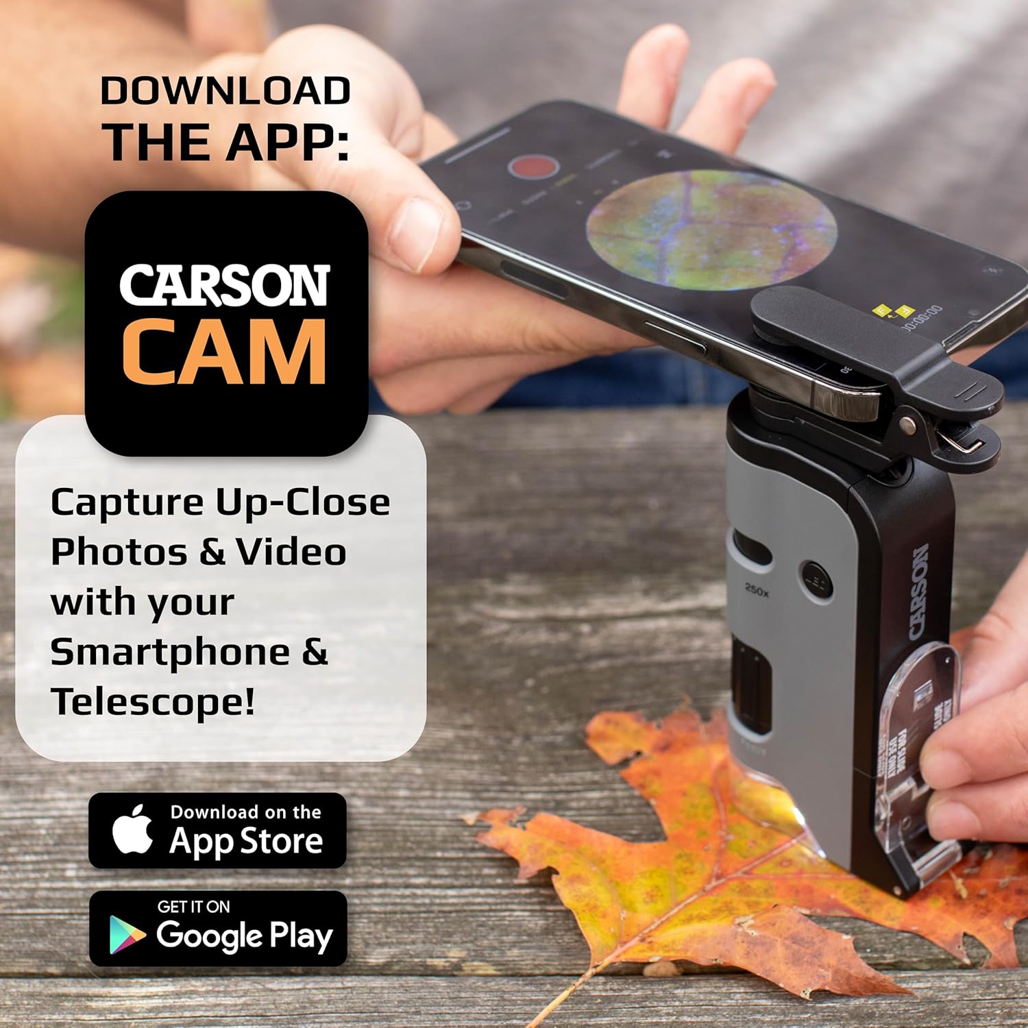 CARSON MicroFlip MP-250 — Microscope 100-250x UV et LED – Image 2