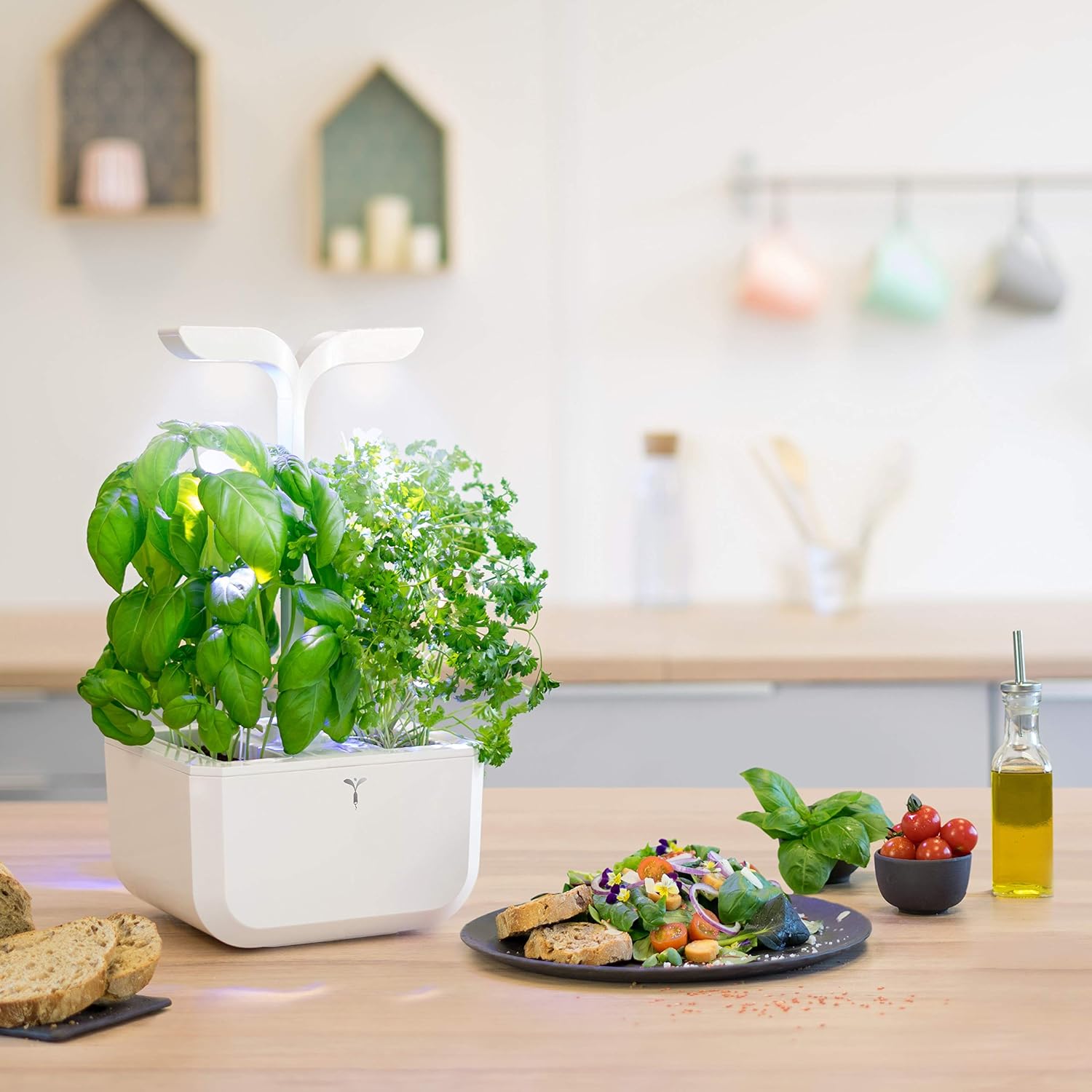 EXKY Classic — Potager d’Intérieur avec 2 Lingots – Image 3