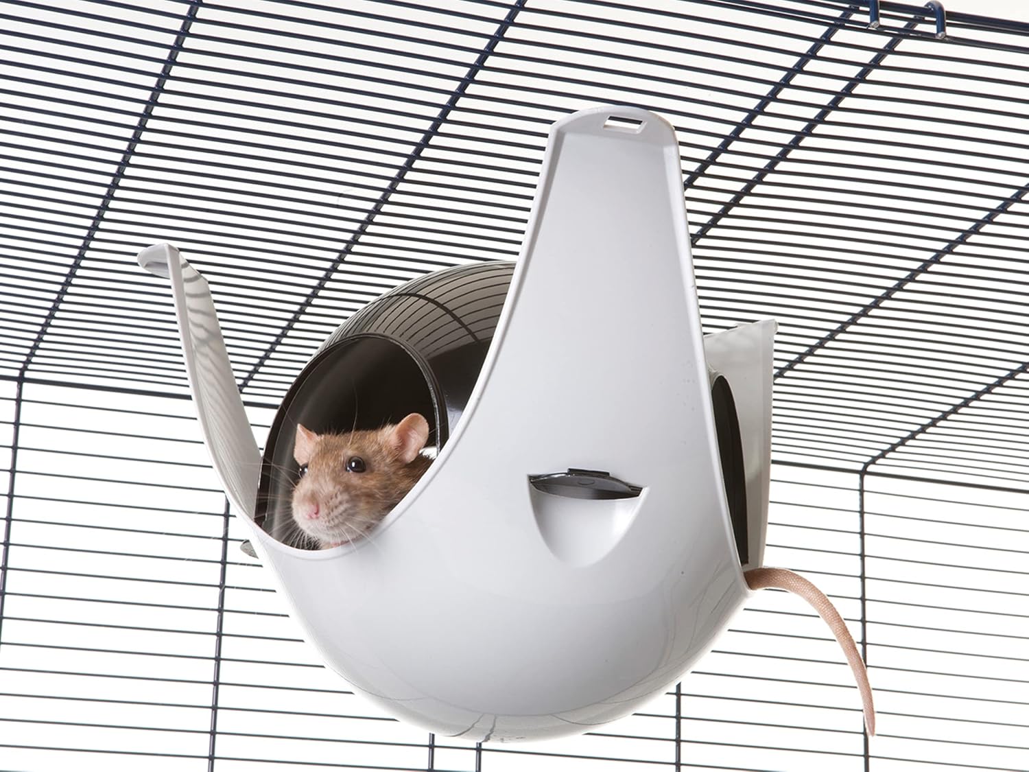 SAVIC Sputnik — Maisonnette pour Petits Animaux XL – Image 47
