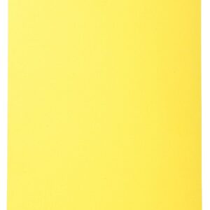 Alternative view of EXACOMPTA Forever — Lot de 100 Chemises rigides A4 jaunes