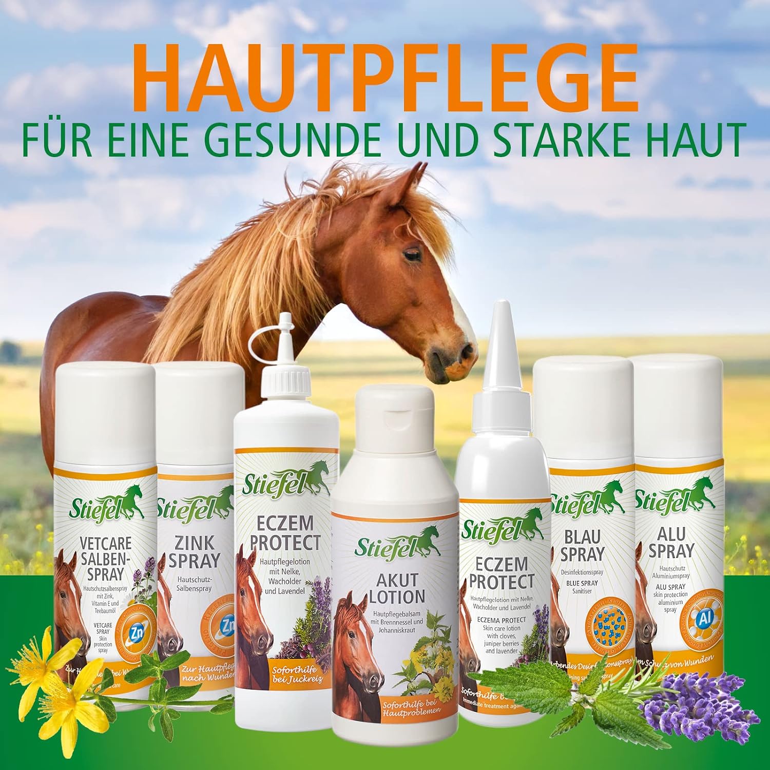 STIEFEL — Spray au Zinc pour Chevaux – Image 24