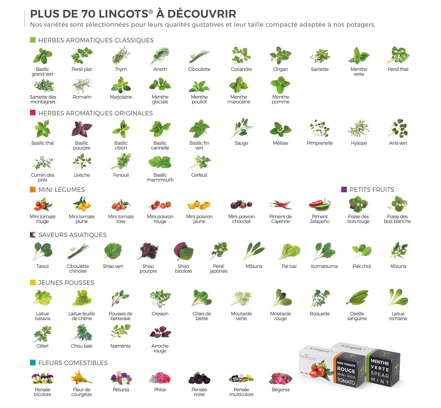 VÉRITABLE CLASSIC — Potager d’intérieur autonome blanc – Image 5