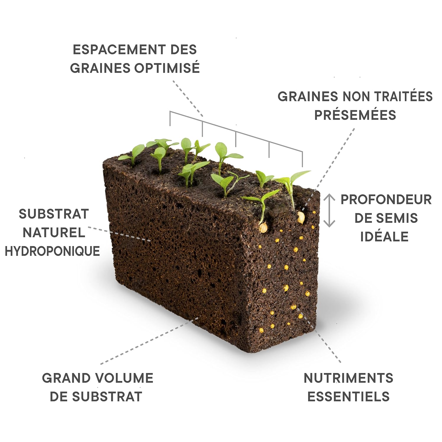 LINGOT — Recharge Menthe Pouliot compatible Véritable et Exky – Image 10