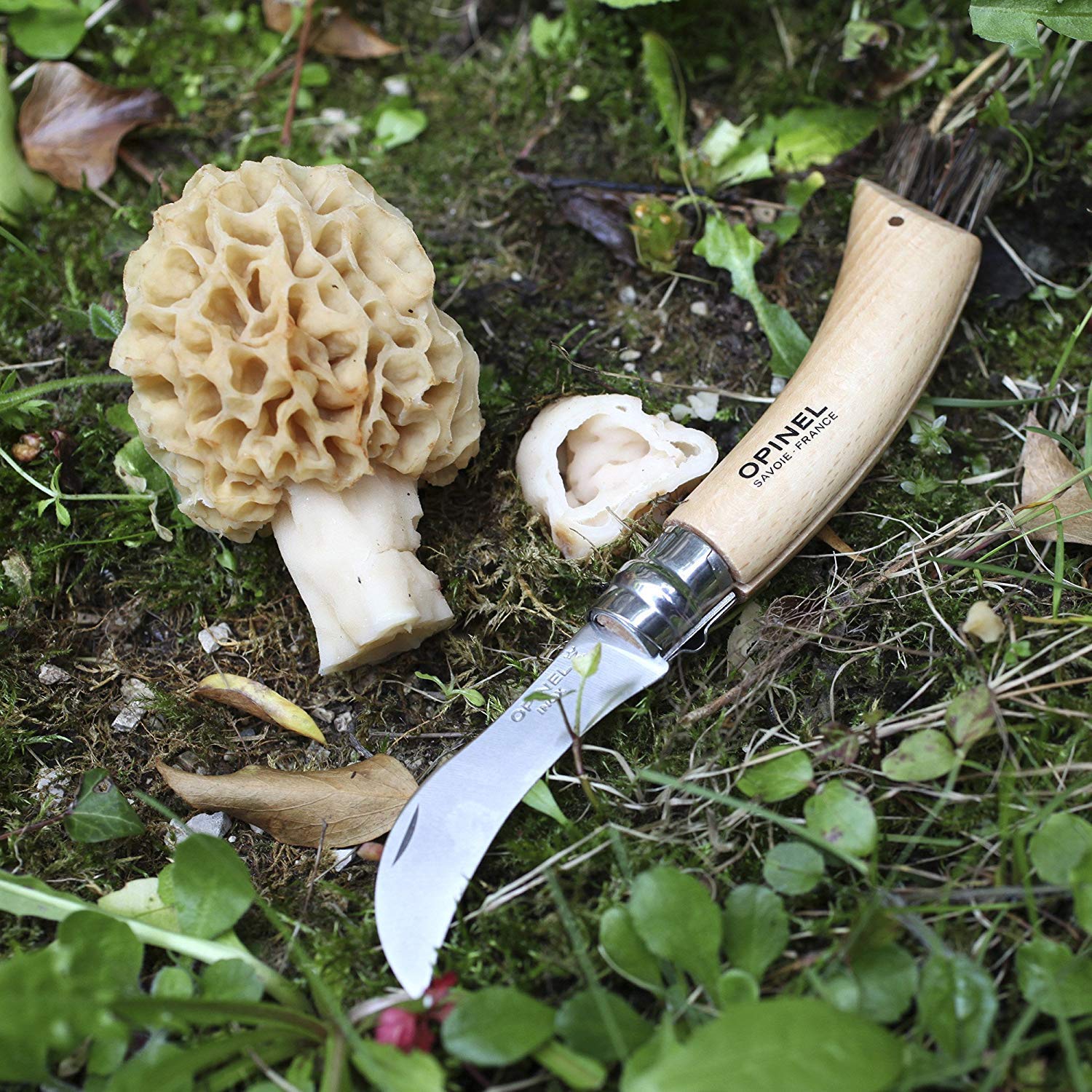 OPINEL N°08 — Couteau à Champignons lame courbée 8 cm – Image 6