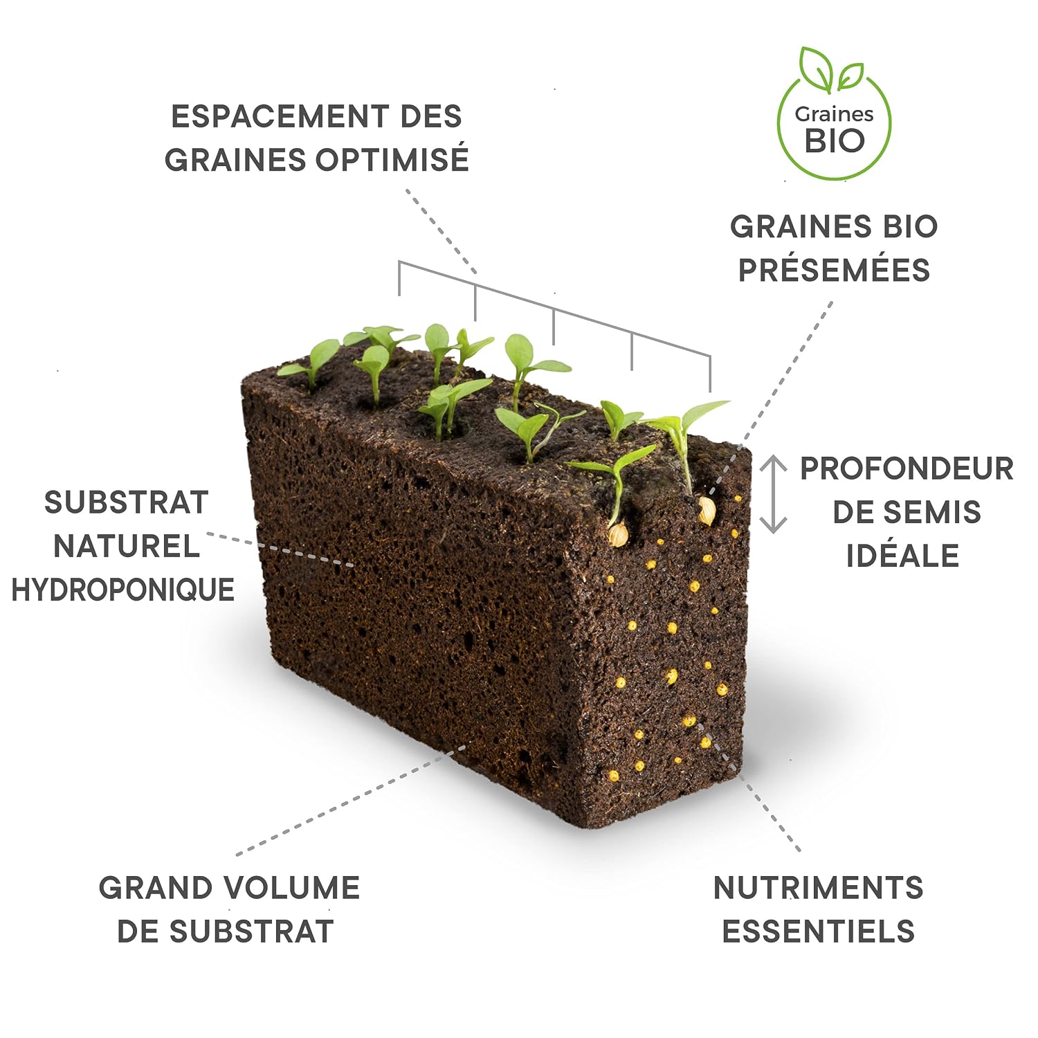 Lingot® Basilic fin vert nain BIO - Compatible Véritable® Potager - Recharge prête à l'emploi – Image 24