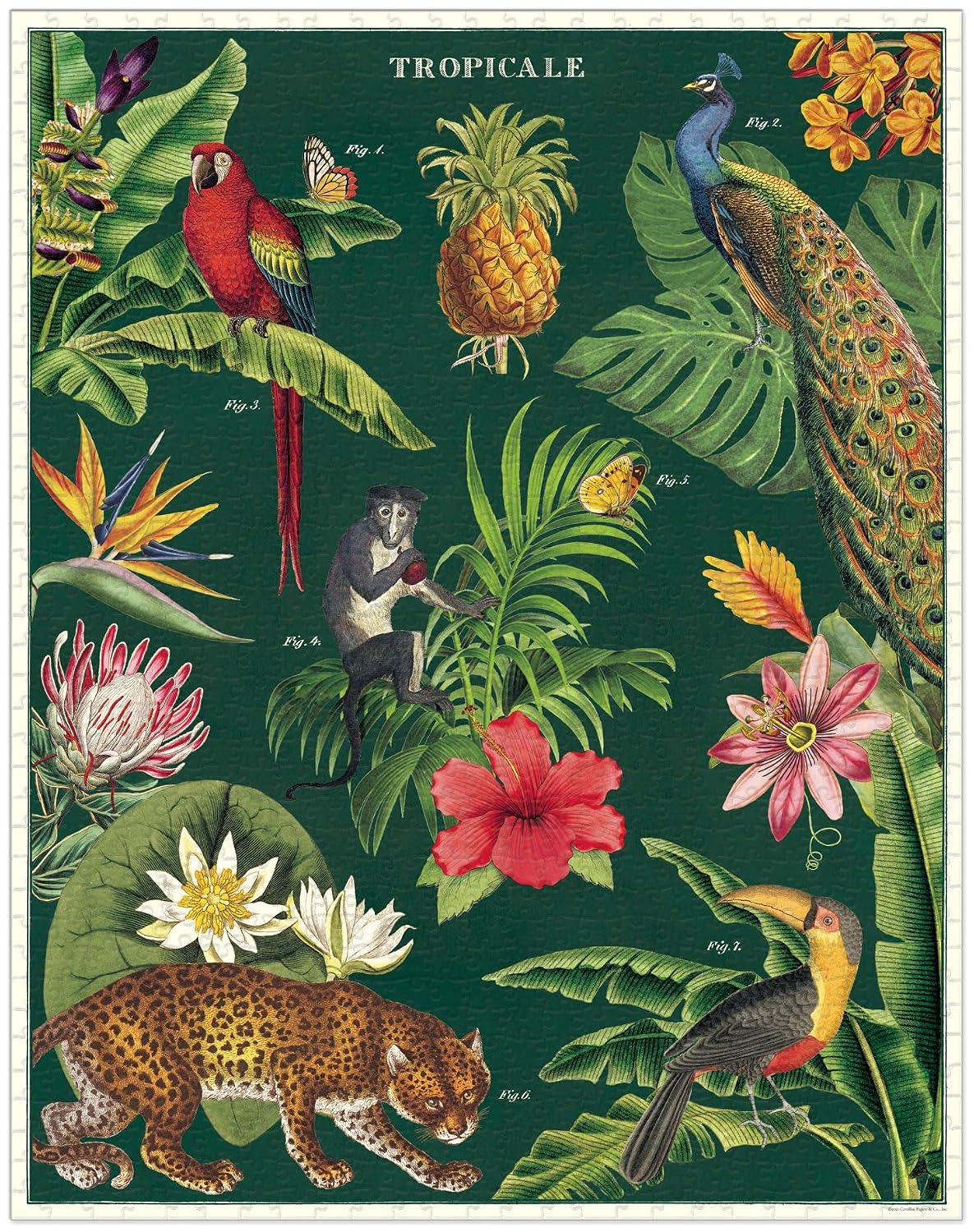 CAVALLINI — Puzzle 1000 pièces Tropicale – Image 2