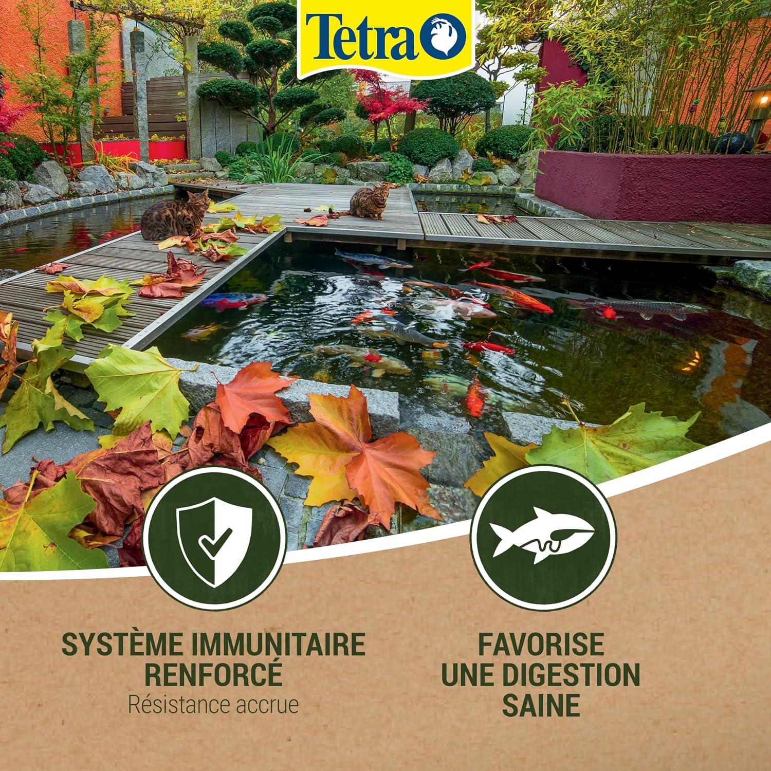 TETRA Pond Koï — Aliment complet pour carpes koï 1 L – Image 31