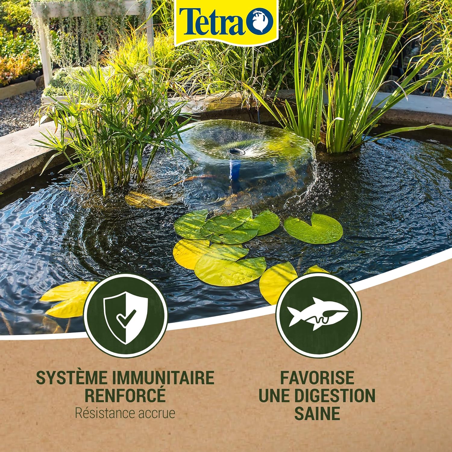 TETRA Pond Sterlet XL Sticks — Aliment complet 5 L – Image 76