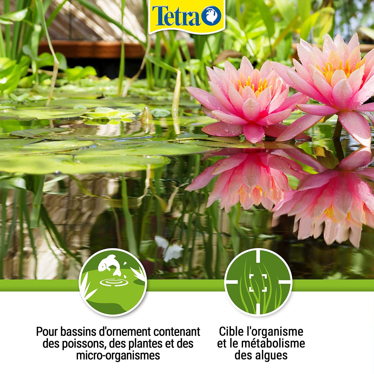 TETRA Pond Algofin — Anti-algues pour bassin 500 ml – Image 28