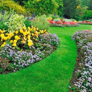 Alternative view of BORDURE — Bordure de jardin droite 15 cm x 9 m marron