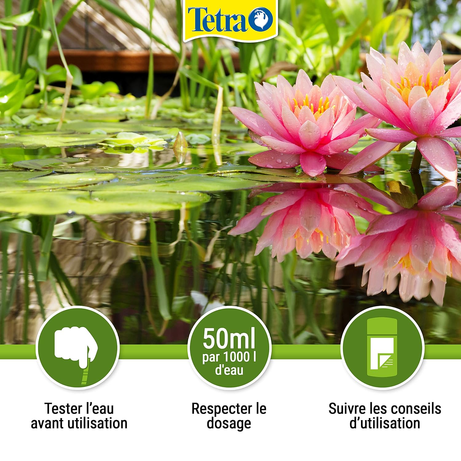 TETRA Pond CrystalWater — Clarificateur d’Eau de Bassin 3 L – Image 27