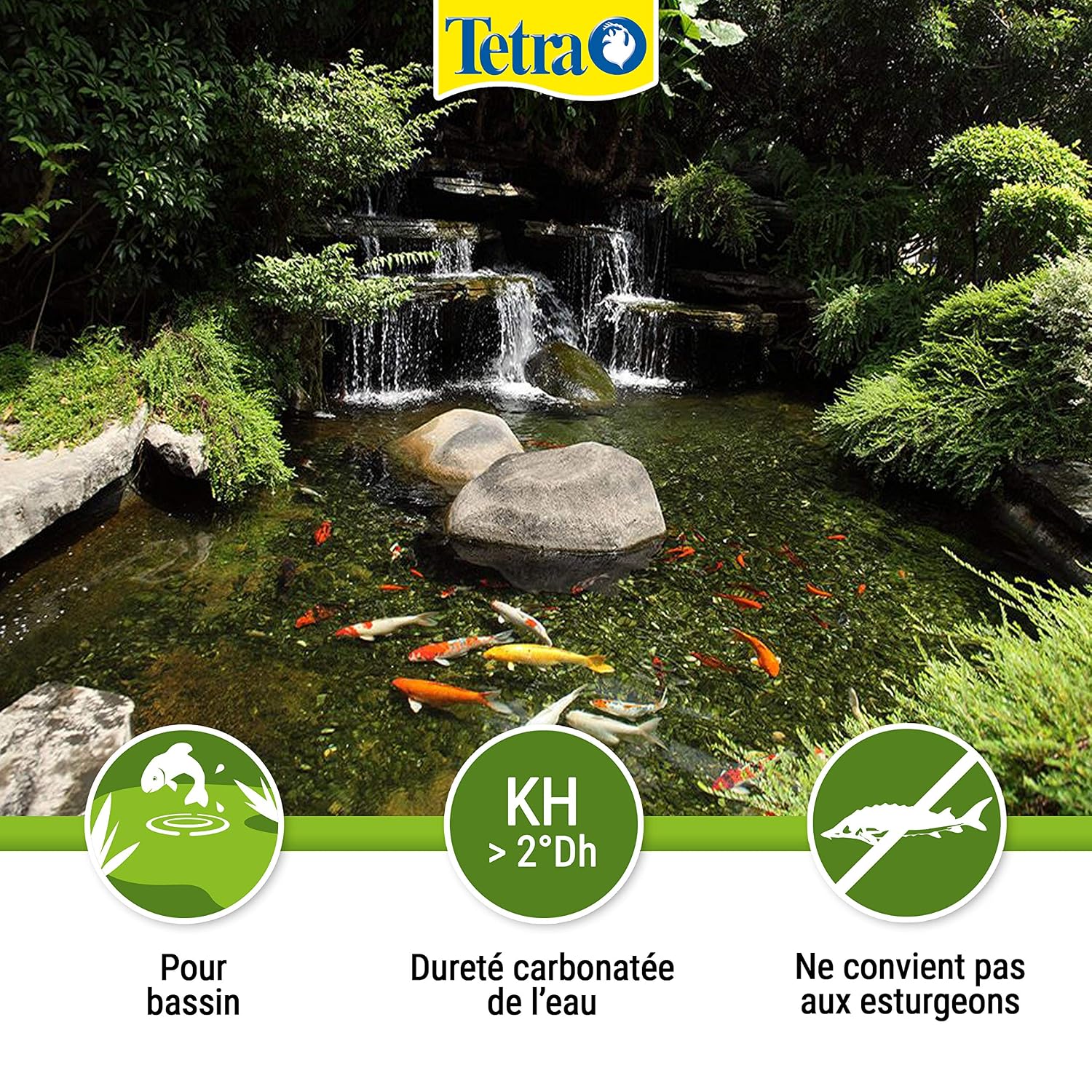 TETRA Pond CrystalWater — Clarificateur d’Eau de Bassin 3 L – Image 15