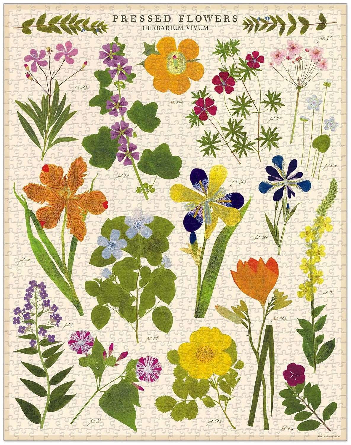 CAVALLINI — Puzzle 1000 pièces Fleurs pressées – Image 2