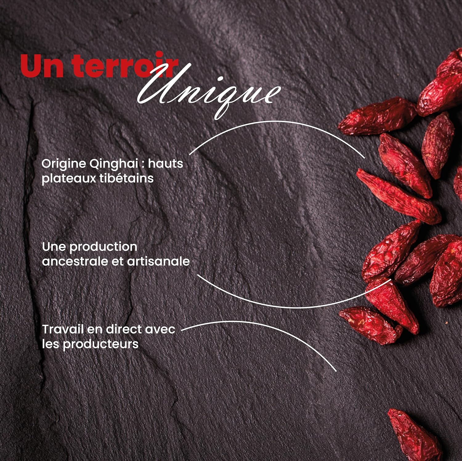 COMPTOIRS ET COMPAGNIES — Baies de Goji Bio 1 kg – Image 3