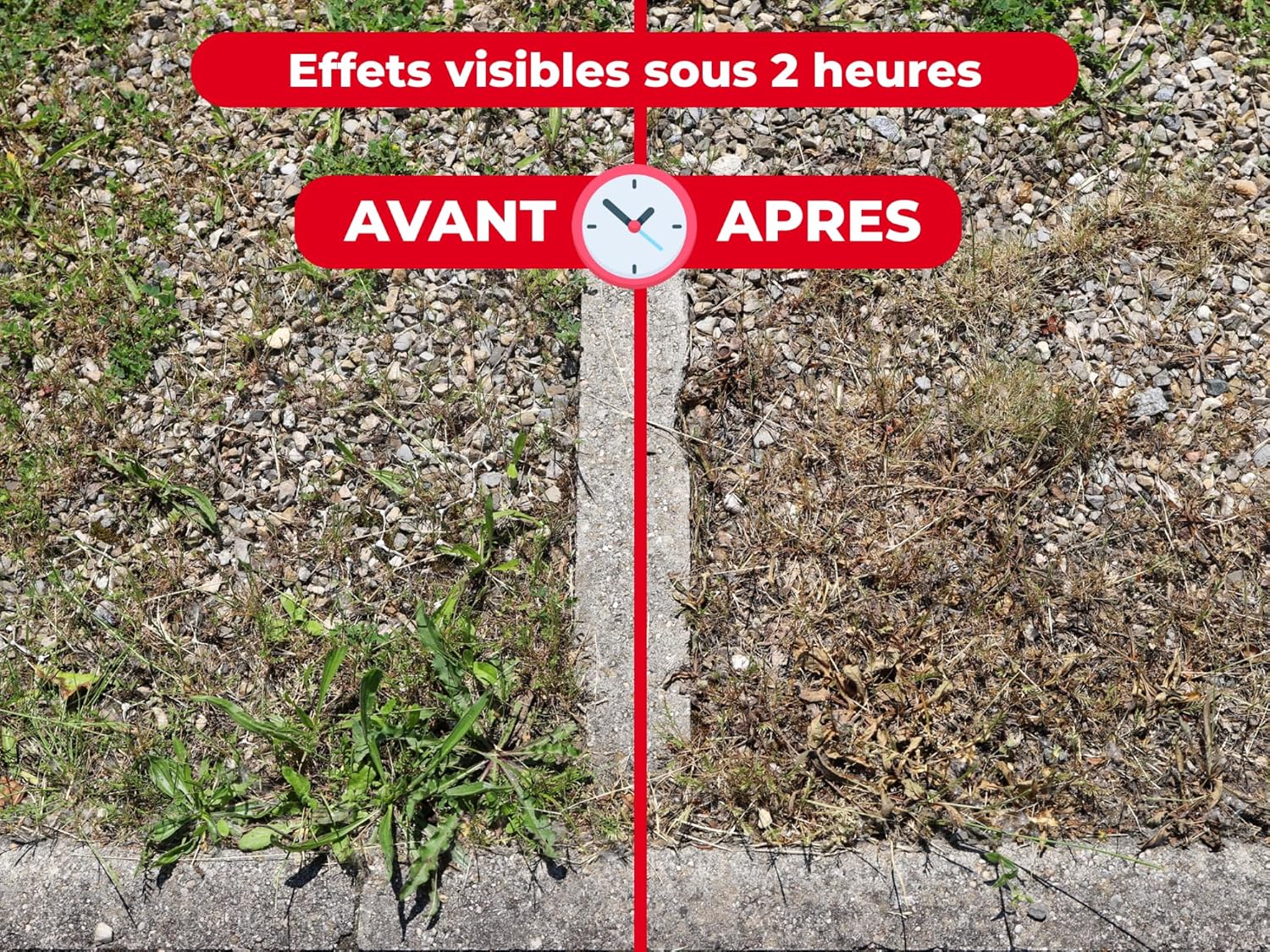 PROTECT EXPERT — Désherbant prêt à l'emploi 750ml – Image 15