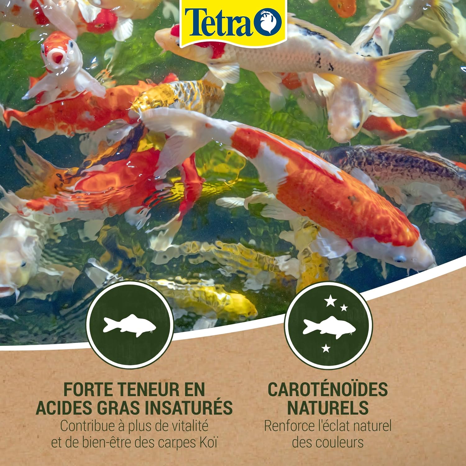 TETRA Pond Koï — Aliment complet pour carpes koï 1 L – Image 5