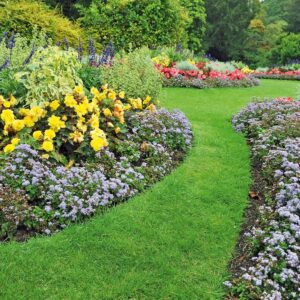 Alternative view of ROULEAU — Bordure de jardin flexible 100 mm x 9 m Vert