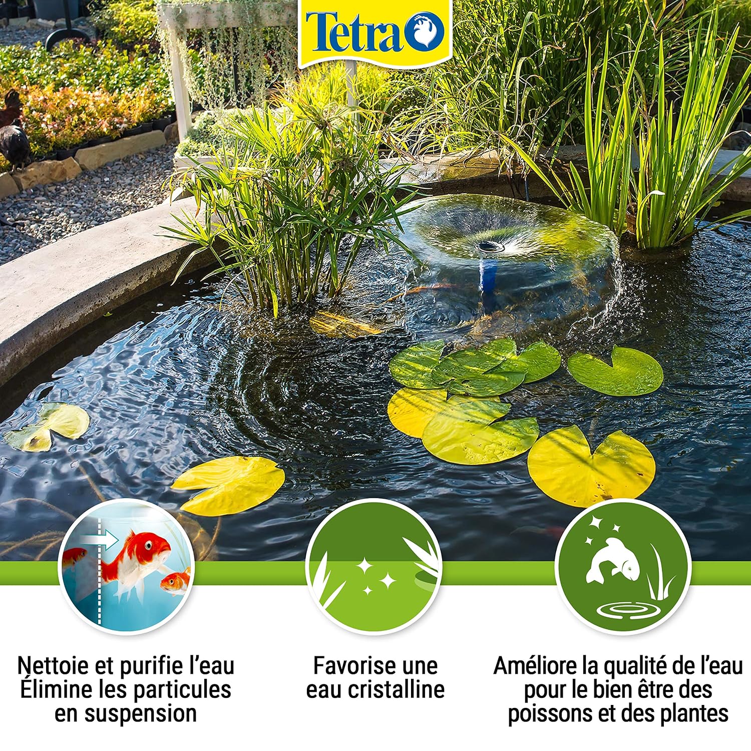 TETRA Pond CrystalWater — Clarificateur d’Eau de Bassin 3 L – Image 12